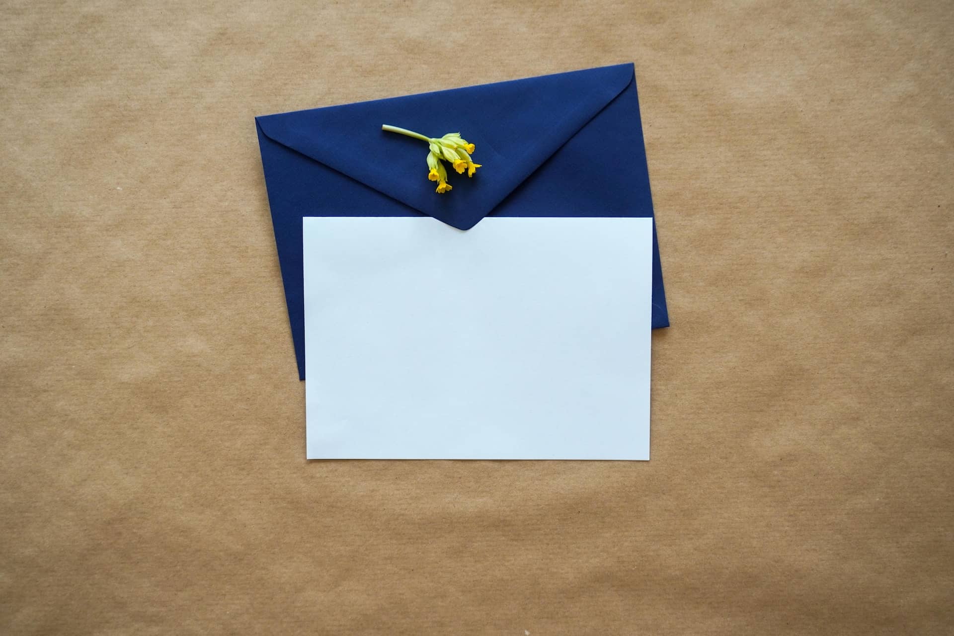 Open Letter - Learning to Connect | Therapists Washington DC